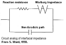 ../../../_images/elec_pol_4.gif